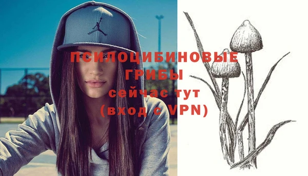 амфетамин Гусиноозёрск