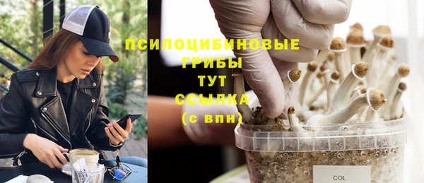 каннабис Гусев