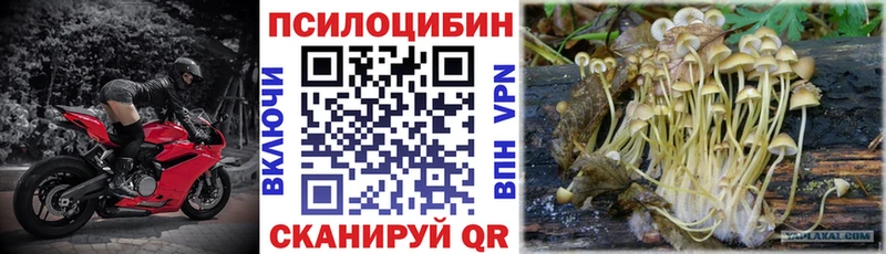 blacksprut ТОР  Новочебоксарск  Галлюциногенные грибы MAGIC MUSHROOMS 